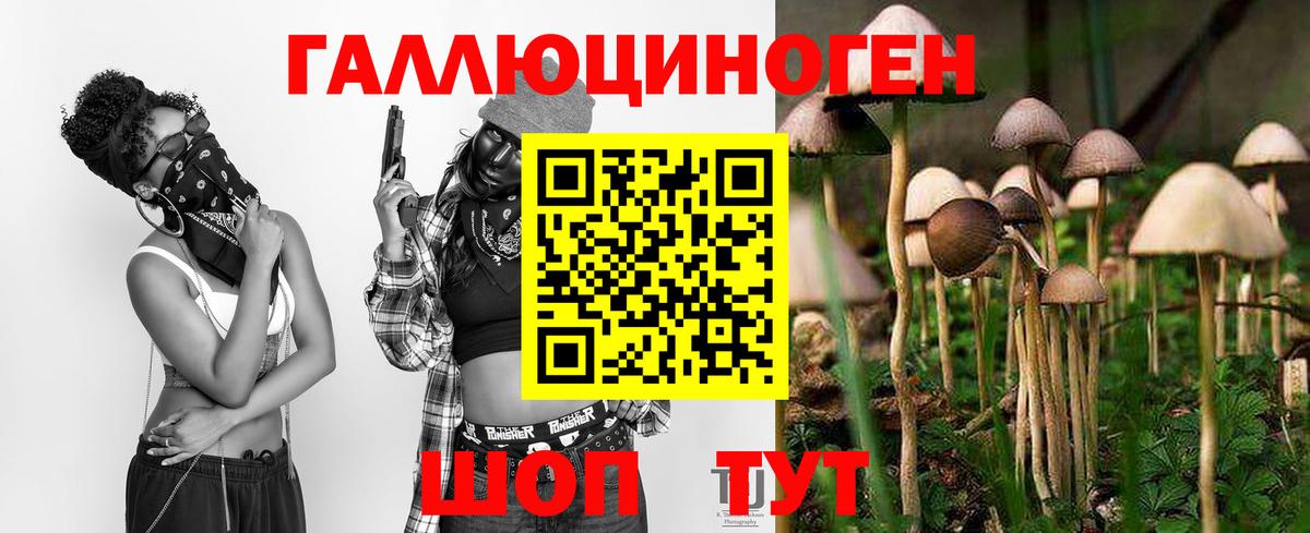 Галлюциногенные грибы MAGIC MUSHROOMS  Вход с VPN  Павлово 