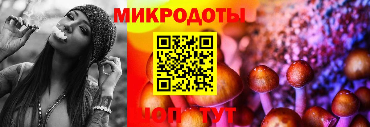 Галлюциногенные грибы GOLDEN TEACHER Павлово